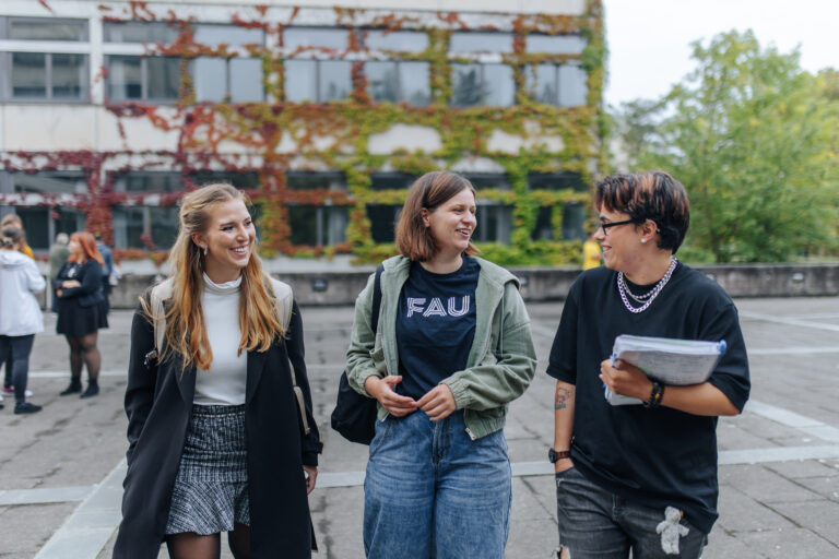 Featured image for FSI